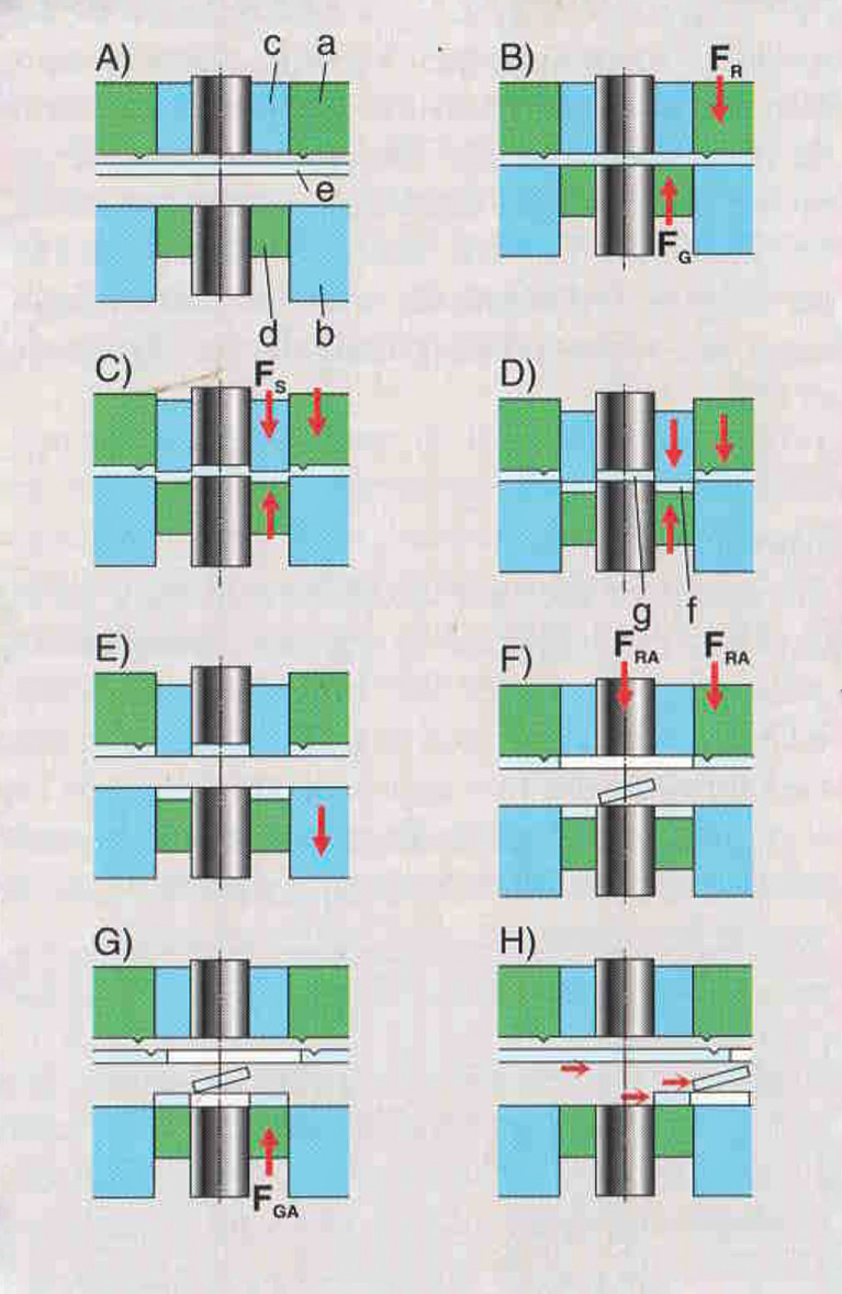 Scan1-3